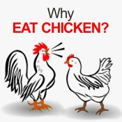 Chicken Facts